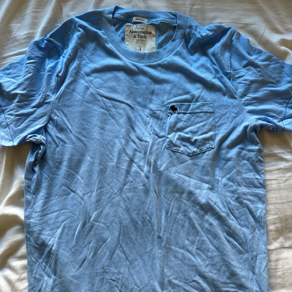 Abercrombie and fitch light blue t shirt L